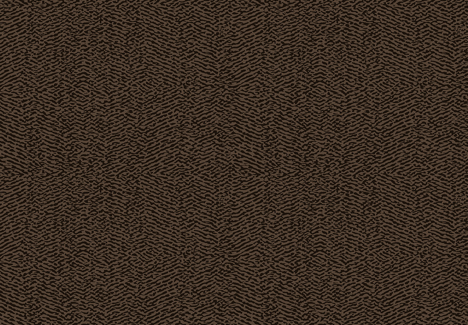 hm207c.jpg