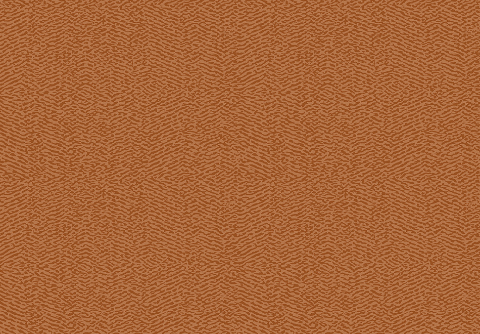 hm203c.jpg