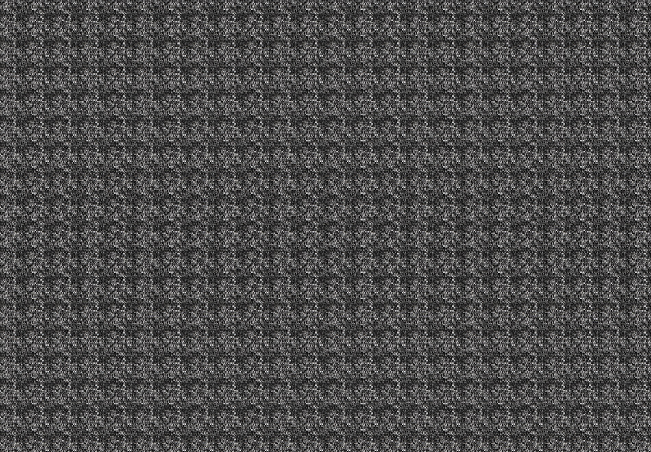 3901-7.jpg