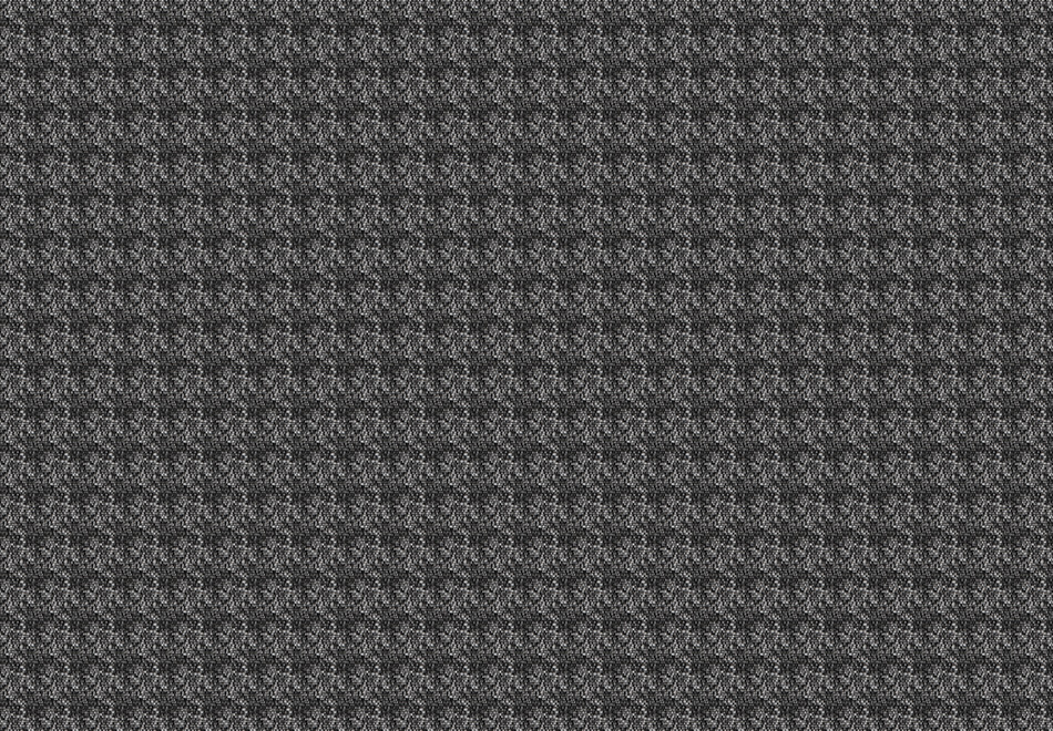 3901-2.jpg