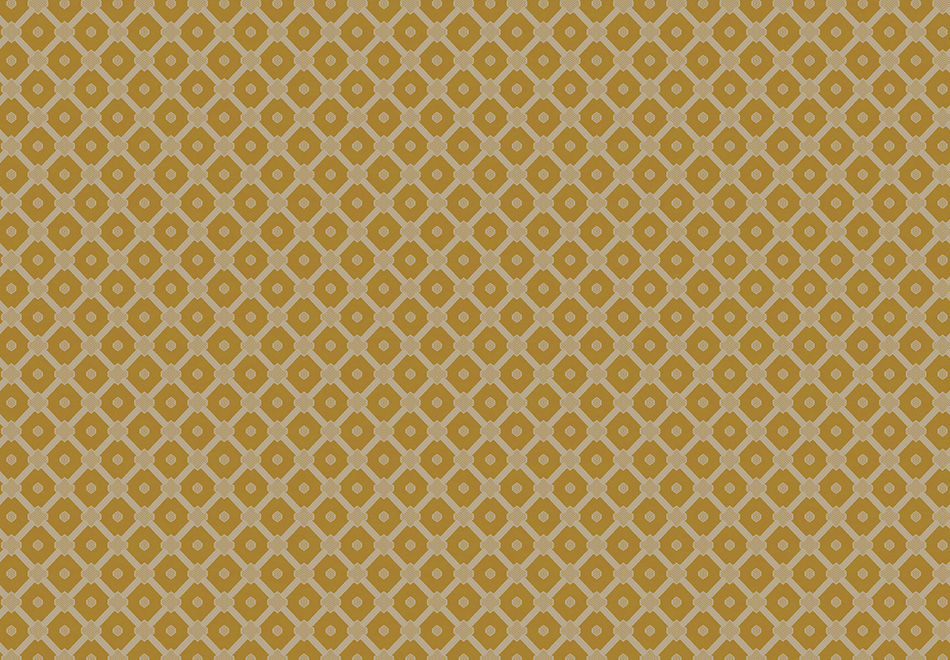 5206-1c.jpg