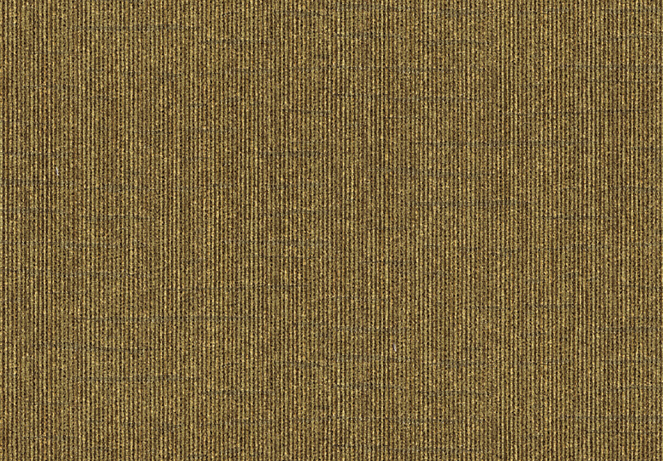 2510-3.jpg