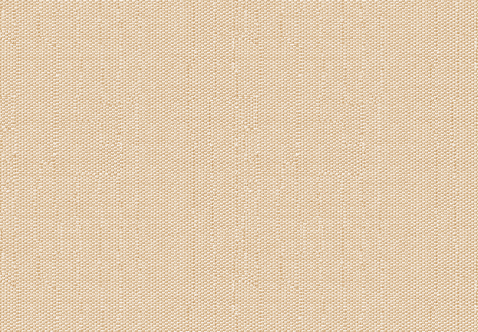 2503-4.jpg